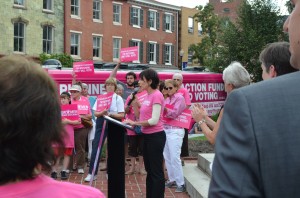 Dayle Pink Bus Tour