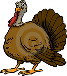 turkey