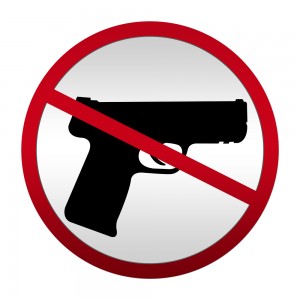 Gun