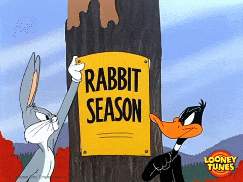 Looney Tunes (Rabbit Season, Duck Season)